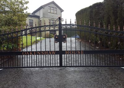 Residential electric gates